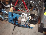 IMGP3022.jpg