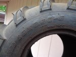 DSC08017.jpg