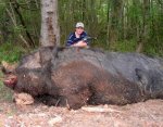 animal_oddities_giant_hogzilla.jpg