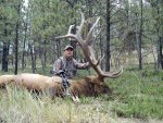 feature-hite-elk2.jpg