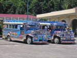 Leyte_Jeepney_duo.jpg