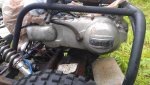 buggy4.jpg