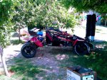 IMAG0051.jpg