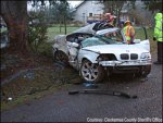 treecar.jpg