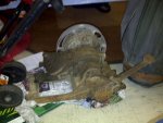 IMG-20120831-00006.jpg