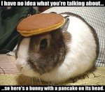 ImageUploadedByTapatalk1356037525.376421.jpg ImageUploadedByTapatalk1356037525.376421.jpg