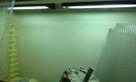 IMG_3700.jpg