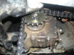DSCN1353.jpg