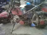 IMG-20130216-00438.jpg