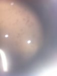ImageUploadedByTapatalk1363080106.423934.jpg