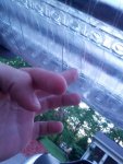 2013-05-16 19.59.59.jpg