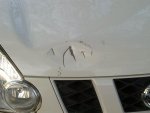 2013-05-30-203_1.jpg