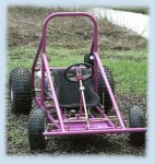 buggy2.jpg