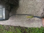 20130526_151518.jpg