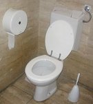 220px-Toilet_with_flush_water_tank.jpg
