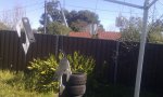 IMAG0140.jpg