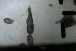DSC01598.jpg