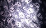 IMAG0148.jpg