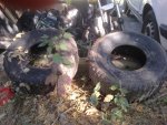 2013-09-05-306.jpg