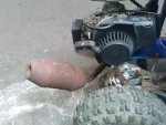CAM00580.jpg