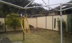 IMAG0262.jpg
