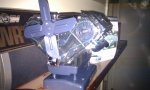 IMAG0337.jpg