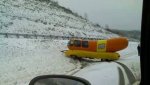 weiner.jpg