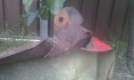 IMAG0349.jpg