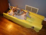 DSC00677s.jpg