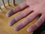 DSC00691.jpg