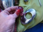DSC00755.jpg
