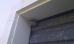 IMAG0448.jpg