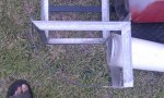 IMAG0520.jpg