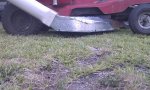IMAG0521.jpg