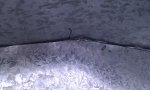 IMAG0540.jpg