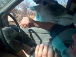 IMG-20130728-WA0011.jpg