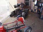 DSC01488.jpg