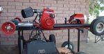 DSC01551a.jpg