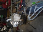 SDC13032.jpg