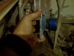 IMG_00000382.jpg
