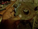IMG_00000383.jpg