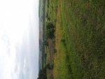 20140629_201230.jpg
