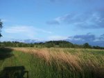 20140612_195259.jpg