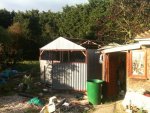 shed build 001.jpg