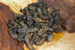 Mopane-Worms.jpg