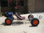 Tadpoll Quad 003.jpg