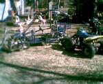 010.jpg