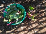 14233311092750.jpg