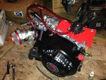 IMG_5540[1].jpg