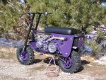 motogote2.jpg